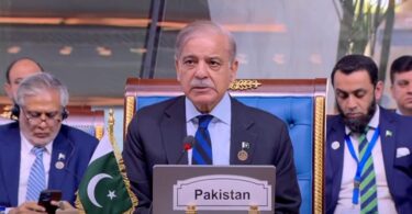 وزیر اعظم شہباز نے D-8 ممالک پر زور دیا کہ وہ نوجوانوں کو بااختیار بنائیں اور SMEs کی حمایت کریں۔
