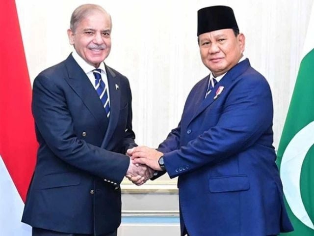 وزیراعظم شہباز شریف کی انڈونیشیا کے صدر سے ملاقات، دوطرفہ اقتصادی تعاون کو فروغ دینے کے لیے