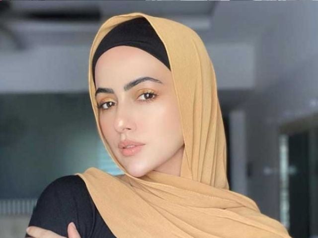 ثنا خان کو دو سے زیادہ بچوں کی خواہش پر ردعمل کا سامنا
