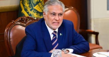 پاک مشنز کی کارکردگی کا جائزہ لینے کے لئے پینل