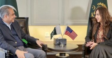 محسن نقوی نے دہشت گردی اور دوطرفہ تبادلے پر امریکی ایلچی کے ساتھ تبادلہ خیال کیا