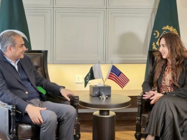 محسن نقوی نے دہشت گردی اور دوطرفہ تبادلے پر امریکی ایلچی کے ساتھ تبادلہ خیال کیا