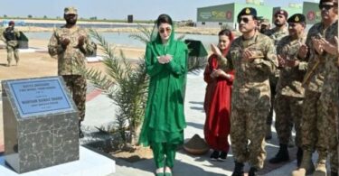پنجاب نے جدید سہولیات کے حامل کسانوں کی مدد کے لئے زرعی منصوبوں کا آغاز کیا