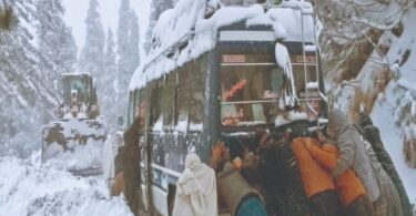 موسم سرما میں خوش آئند واپسی ہوتی ہے