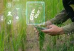 حکومت کاشتکاری کے شعبے کو متحرک کرنے کے لئے تیار ہے