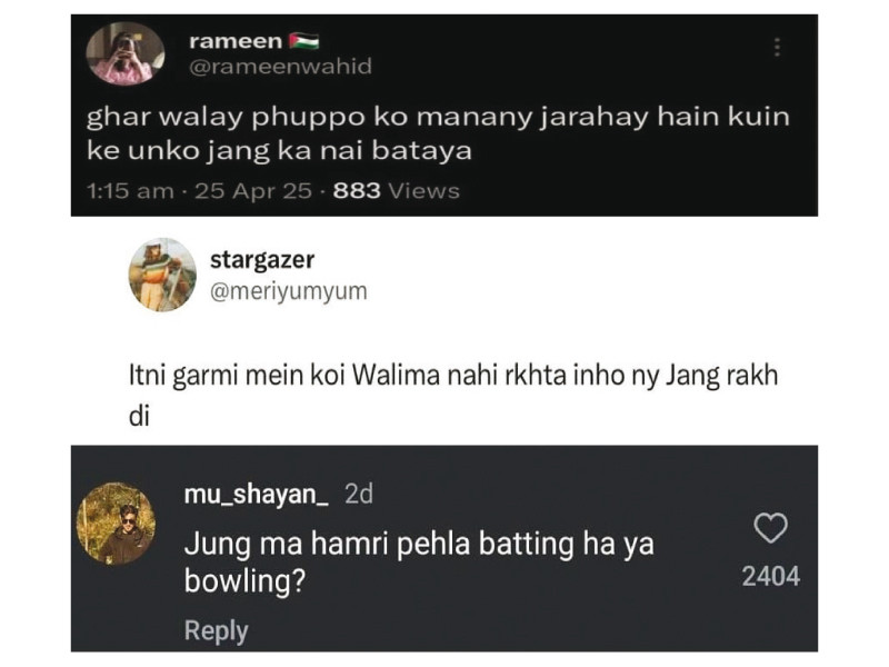 میم لارڈز ، جنگجو نہیں