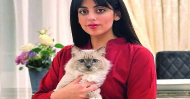 گل نے بلی کی موت کا سوگ کیا