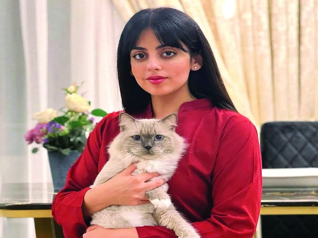 گل نے بلی کی موت کا سوگ کیا