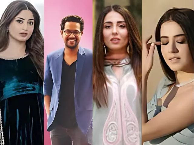 پاکستانی مشہور شخصیات ہندوستان کے سوشل میڈیا پابندی کا مذاق اڑانے کے لئے طنز کا استعمال کرتی ہیں