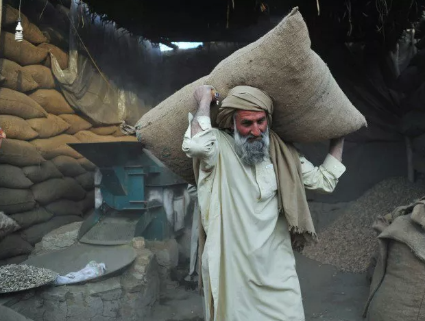 مزدوری کا جشن منا رہا ہے ، قوم کی ریڑھ کی ہڈی